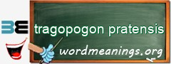 WordMeaning blackboard for tragopogon pratensis